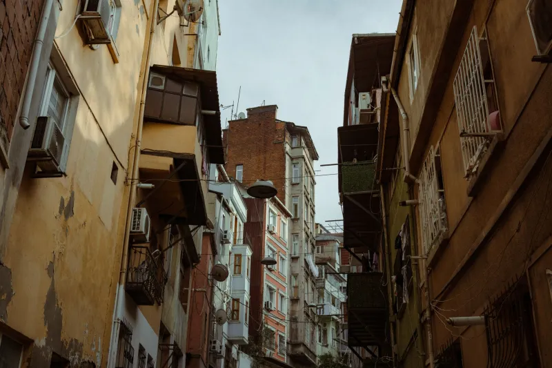Uninvited and Unaddressed: How Pest Infestations Become a Tool of Control Over Low-Income Renters